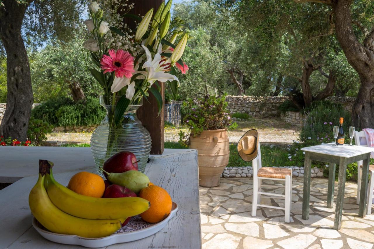 גאיוס Villa Elaia Suites & Apartments No.6 מראה חיצוני תמונה