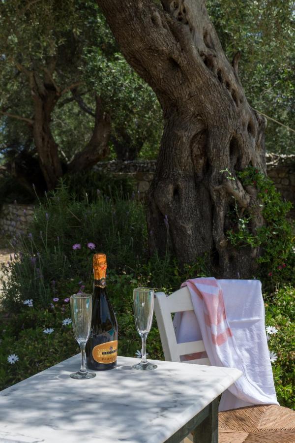 גאיוס Villa Elaia Suites & Apartments No.6 מראה חיצוני תמונה